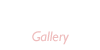 갤러리
